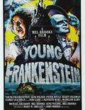 Постер из фильма "Молодой Франкенштейн" - 1