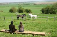 Кадр Танцуй с ним