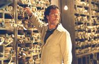 Кадр Сахара