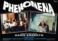 Постер Феномен