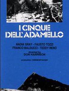 I cinque dell'adamello