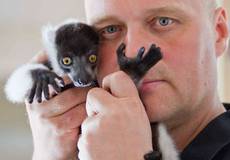 «Малыша» братьев Стругацких экранизирует призер Венецианского кинофестиваля 