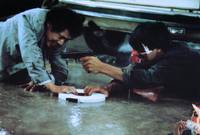 Кадр Светлое будущее