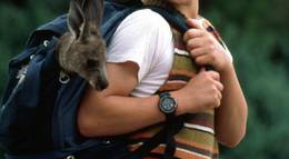 Кадр из фильма "Джой" - 2