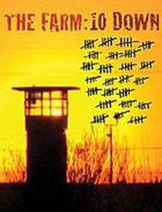 Ферма: 10 лет спустя