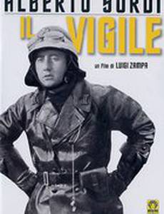 Уличный регулировщик