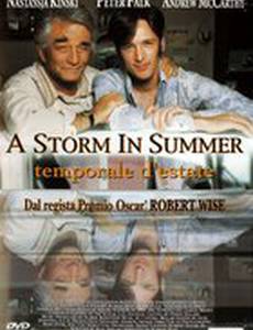 Летний шторм