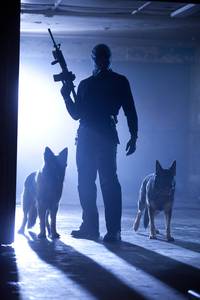 Кадр Коллекционер 2