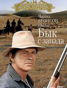 Бык с запада