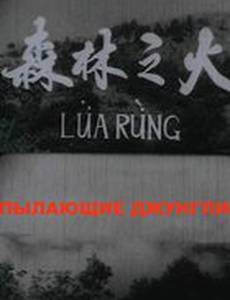 Пылающие джунгли