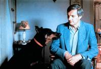 Кадр Сладкая свобода