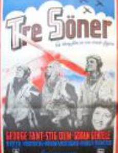 Tre söner gick till flyget