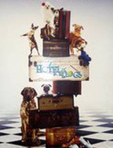 Отель для собак