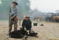 Кадр Неукротимые сердца