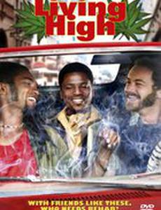 Мозги набекрень