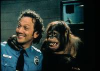 Кадр Животное