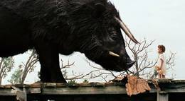 Кадр из фильма "Звери дикого Юга" - 2