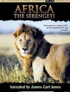 Africa: The Serengeti