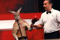 Кадр Бой с тенью 3: Последний раунд