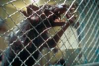 Кадр Хозяева подземелий