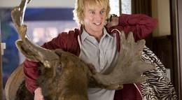 Кадр из фильма "Он, я и его друзья" - 1