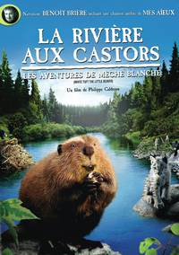 Постер Приключения бобрёнка