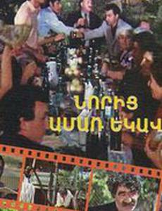 Снова пришло лето