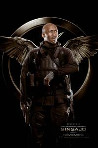 Постер Голодные игры: Сойка-пересмешница. Часть I