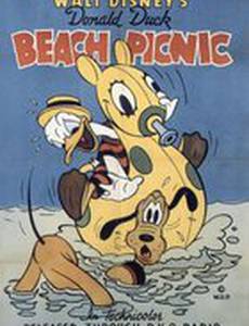 Пляжный пикник