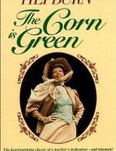 Кукуруза зеленая