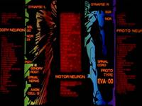 Кадр Евангелион