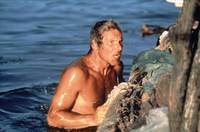 Кадр Берег москитов