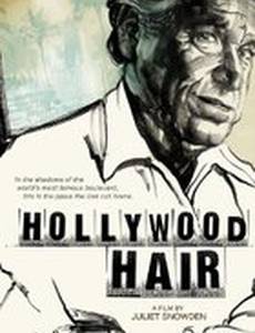 Hollywood Hair
