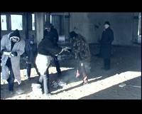 Кадр Ридер (видео)