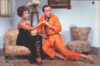 Кадр За Лисом