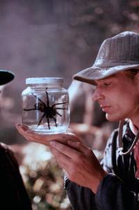 Кадр Боязнь пауков