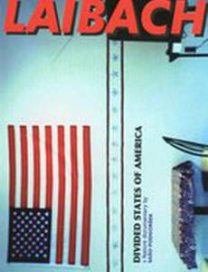 Разделённые Штаты Америки