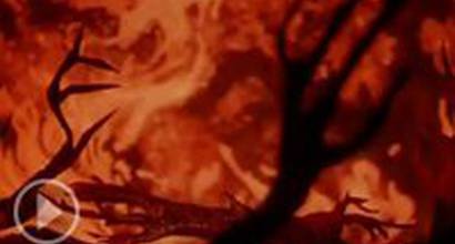 Мультфильм 