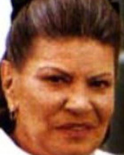 Мече Барба фото