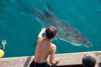 Кадр Заклинательница акул