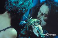 Кадр Питер Пэн