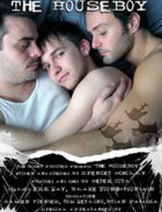 Домашний мальчик