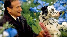 Кадр из фильма "Куда приводят мечты" - 2