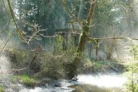 Кадр Дневники вампира