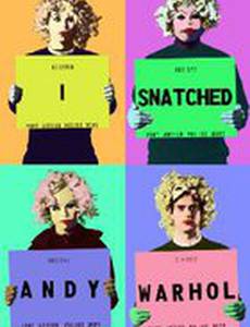 I Snatched Andy Warhol