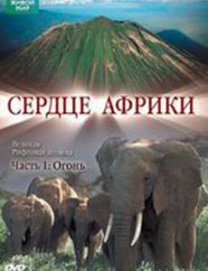 BBC: Сердце Африки (мини-сериал)