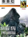 Постер из фильма "BBC: Брачные игры в мире животных" - 1
