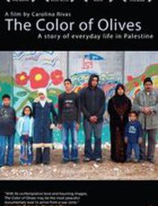 Цвет маслин