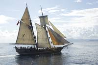 Кадр Череп и кости