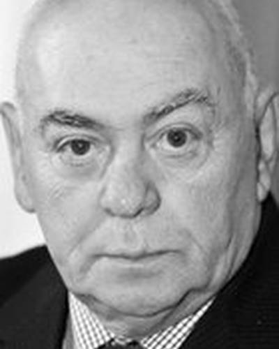 Анатолий Равикович фото